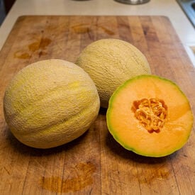 Rockstar, (F1) Melon Seeds